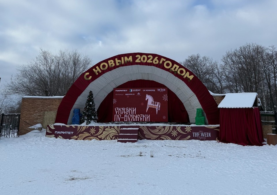    Жителей Самары пригласили на бесплатную рождественскую программу. Ирина СИНЕГУБОВА