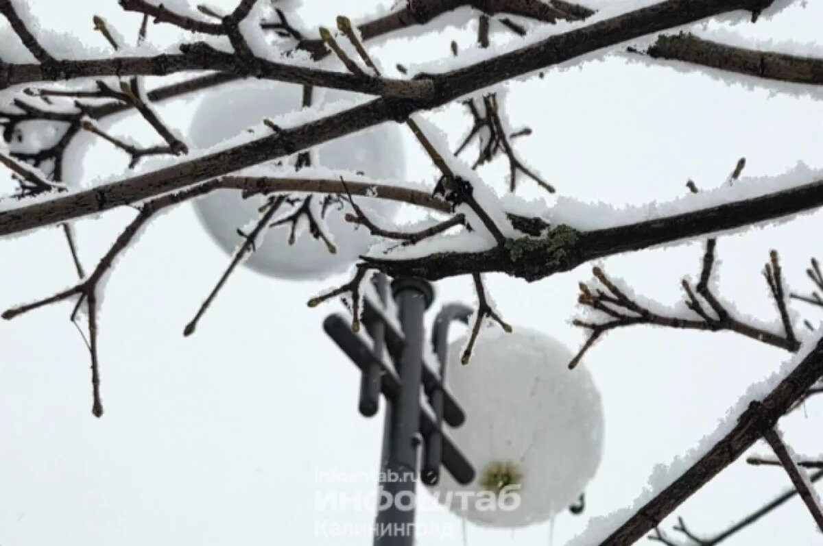    Снег на сутки отрезал посёлок Митино: дорогу расчищали экскаваторами