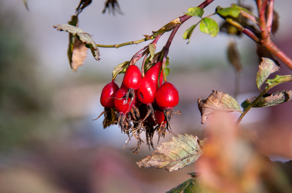    Svetlana Vozmilova/Global Look Press