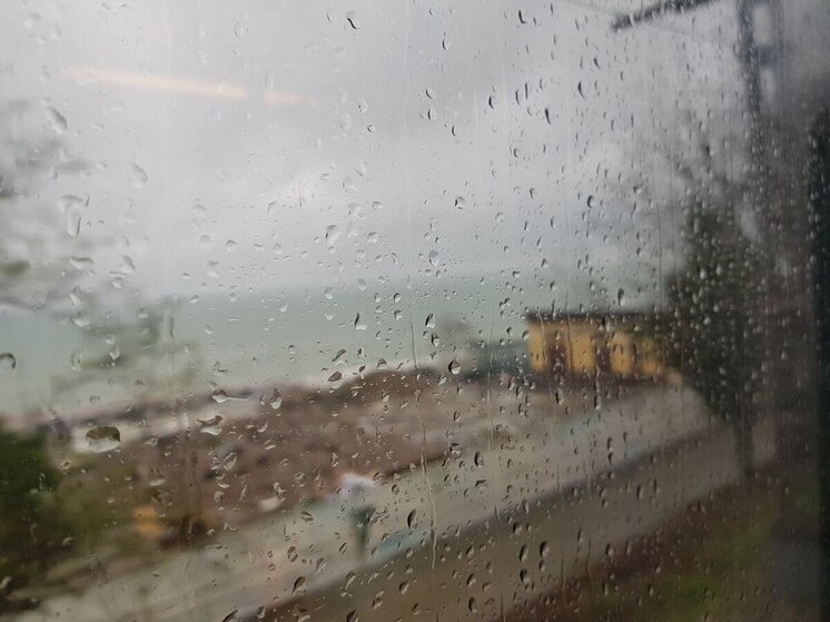     Фото: "МК в Сочи"