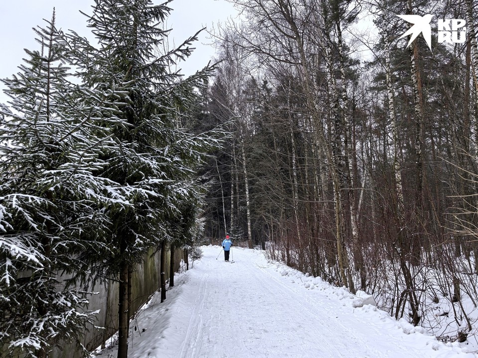   Юлия АНДРИЕНКО