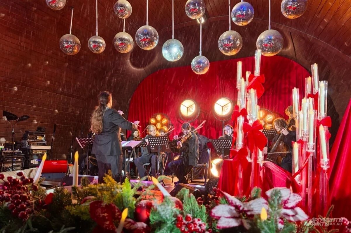    Рождество в Саду им. Баумана отметили незабываемо - концертом симфонического оркестра.