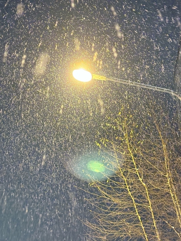     Фото: "МК в Калуге"