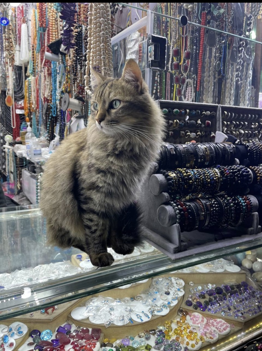 Фото автора этой истории, Шарм.