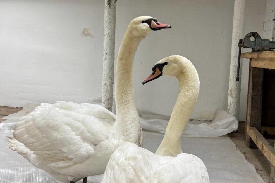   взято с telegram-канала Минэкологии Татарстана