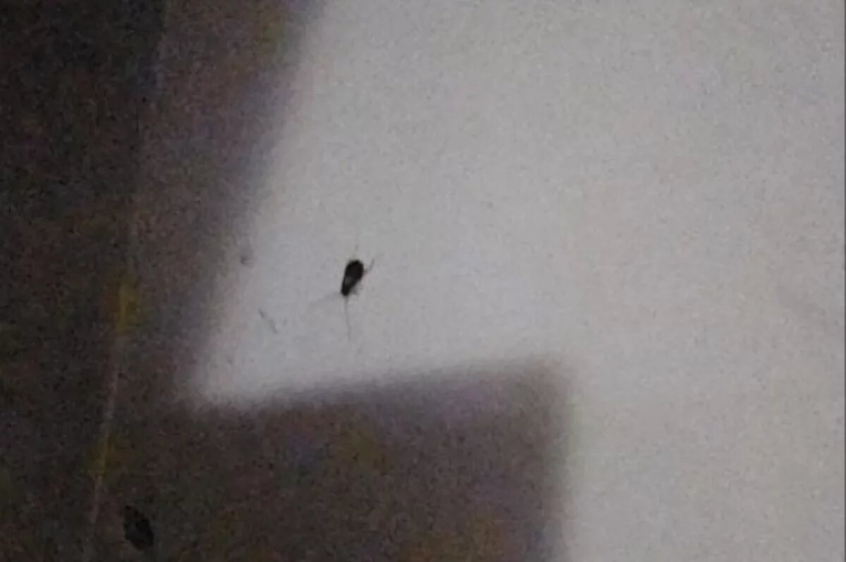    Фото сделано в больнице БСМП