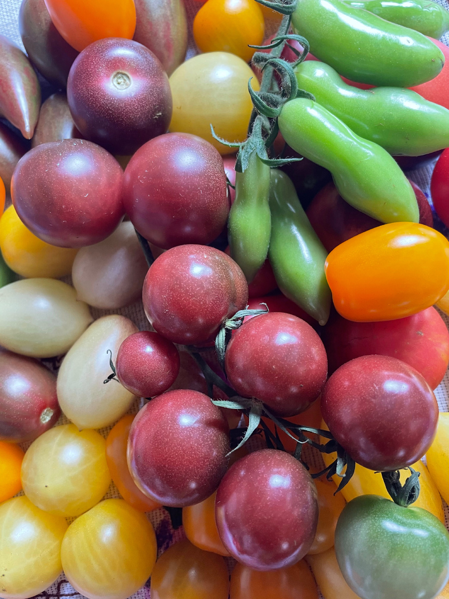 Фотография автора (сезон 2025)