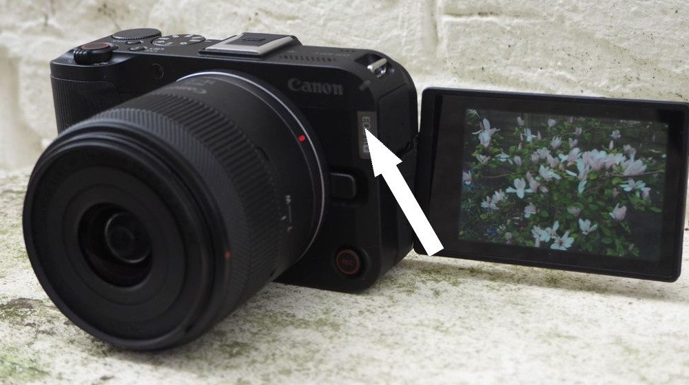    ЯПОНСКИЙ ПРОРЫВ В МИРЕ ВЛАСТЕЛИНОВ ВИДЕО И ФОТОГРАФИИ