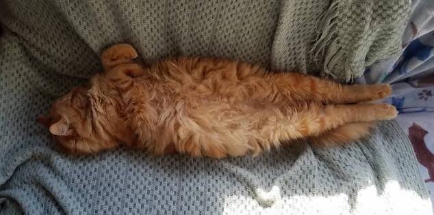 Фото из Интернета. 