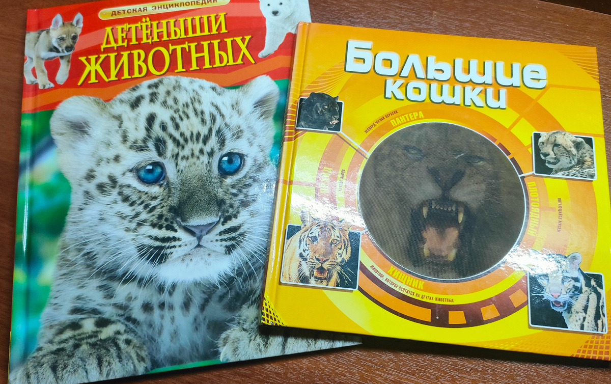 Книги от доброго доктора. Фото автора