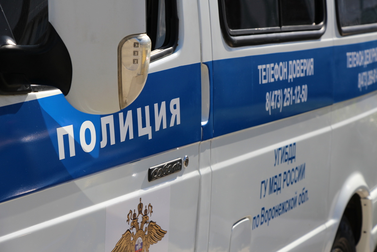     Полиция. Автор: Олег Петров. Фото: редакция.