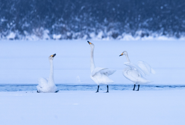 фото: t.me/astrophotoboloto/ Катя Стрельникова