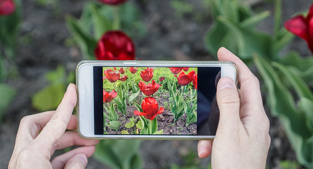 Как фотография помогает, если вы одиноки