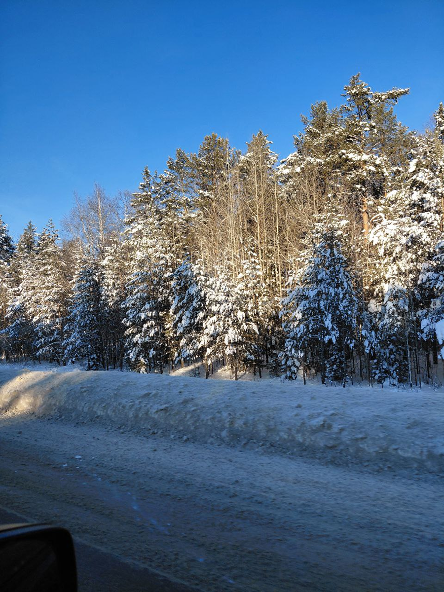 Где-то под Екатеринбургом, январь 2026. Фото автора