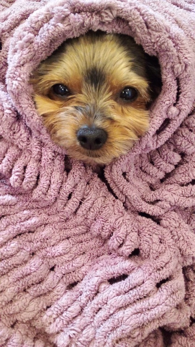 Наш любимый штурманёнок Лаки. Фото автора