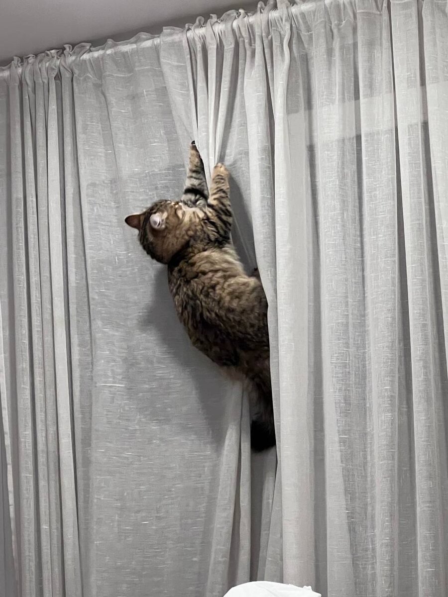 Noelle & Raspberry Vivalavita