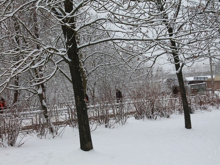     «МК-Иваново»