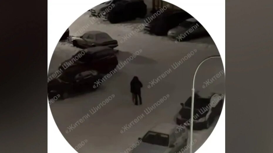    Автор фото: t.me/zhitely_vrn