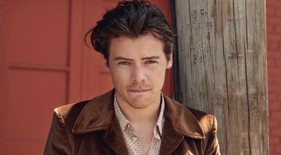     Гарри Стайлс / Фото: соцсети Гарри Стайлса