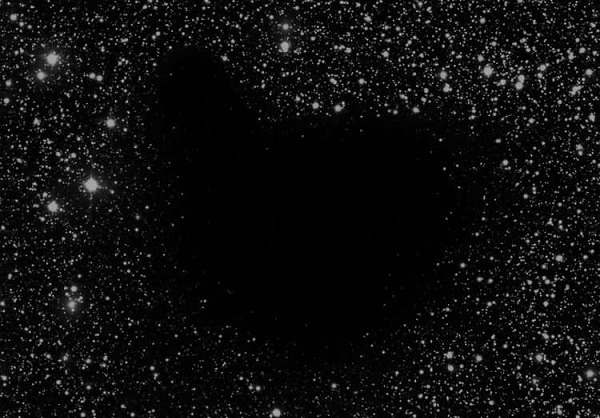 Примерно так он выглядит. Напоминает форму сердца, не правда ли?