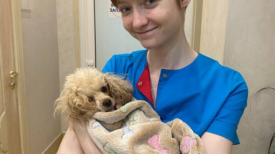 Сегодня мы хотим поздравить с Днем Рождения нашего дорогого помощника и будущего ветеринара