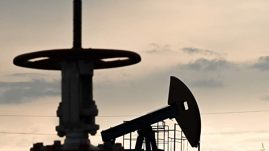    Фото: РИА Новости/Максим Богодвид