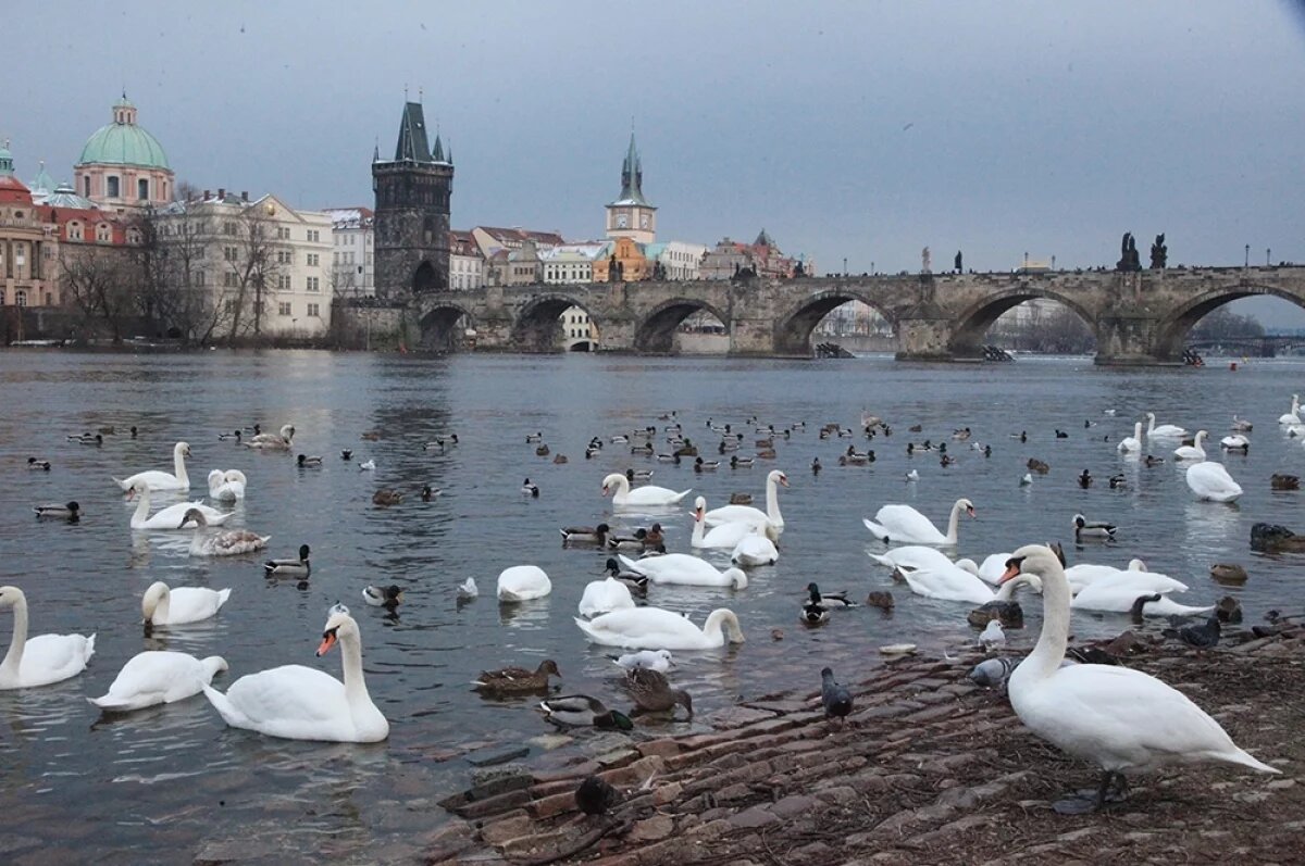    Власти Чехии сняли украинский флаг с фасада здания правительства