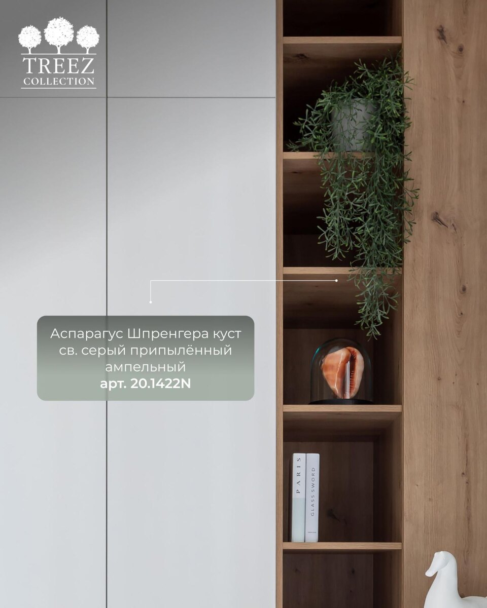 Кашпо и растения TREEZ Collection