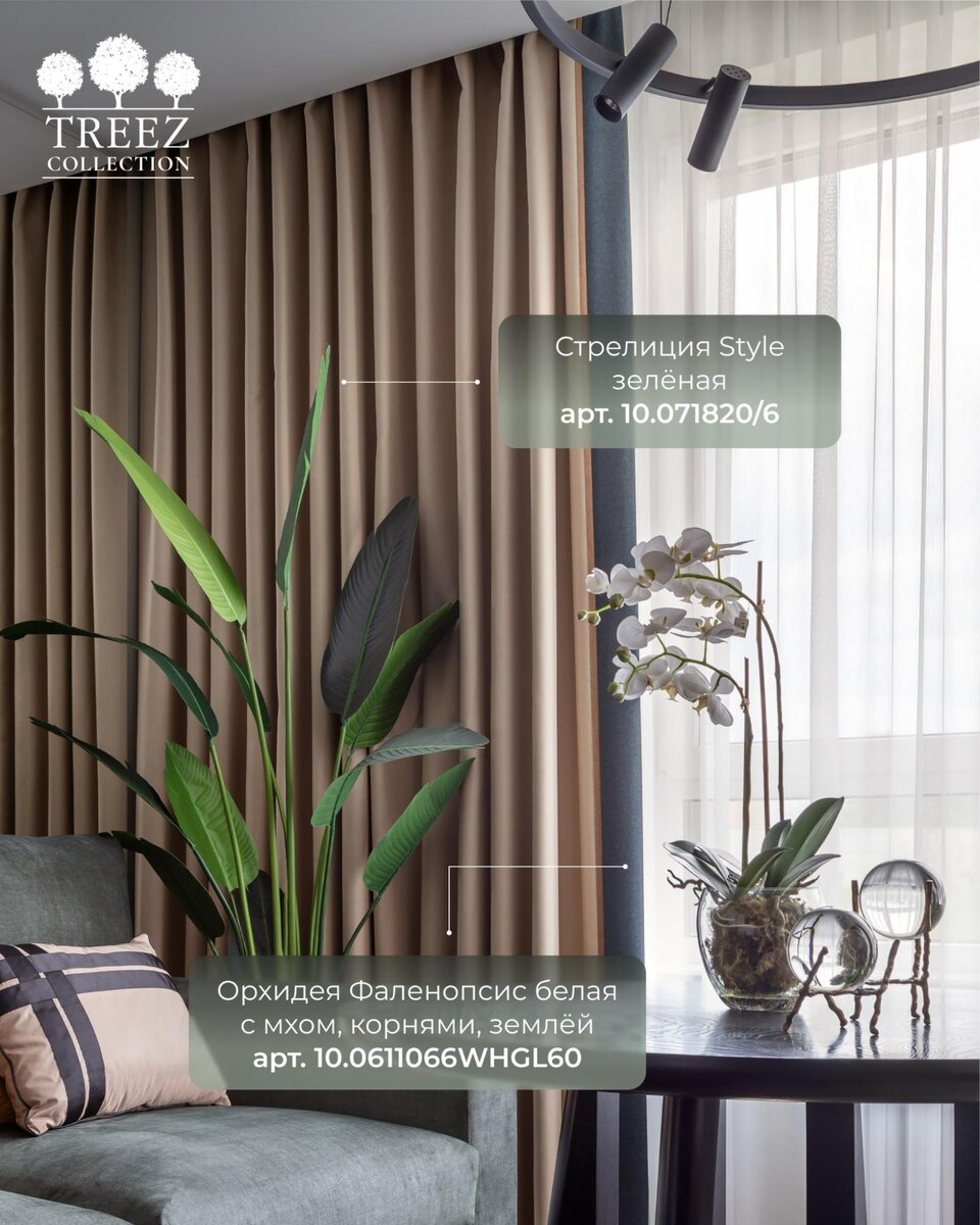 Кашпо и растения TREEZ Collection