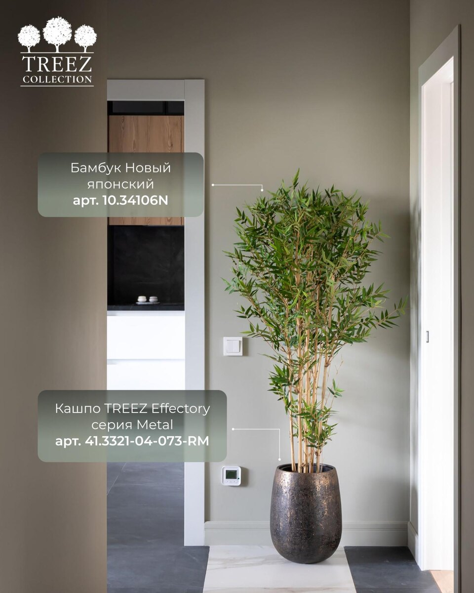 Кашпо и растения TREEZ Collection