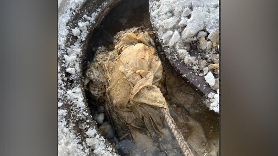    Фото: t.me/VDKSPB