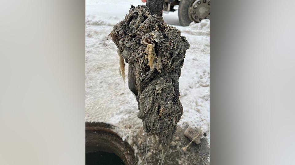    Фото: t.me/VDKSPB