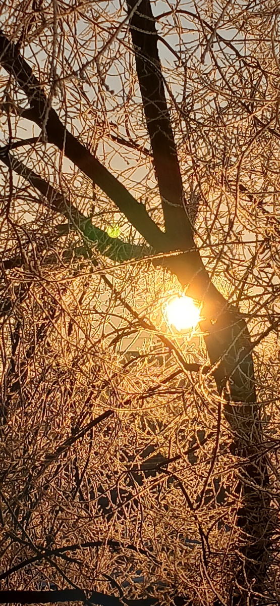 Начало прекрасного дня 