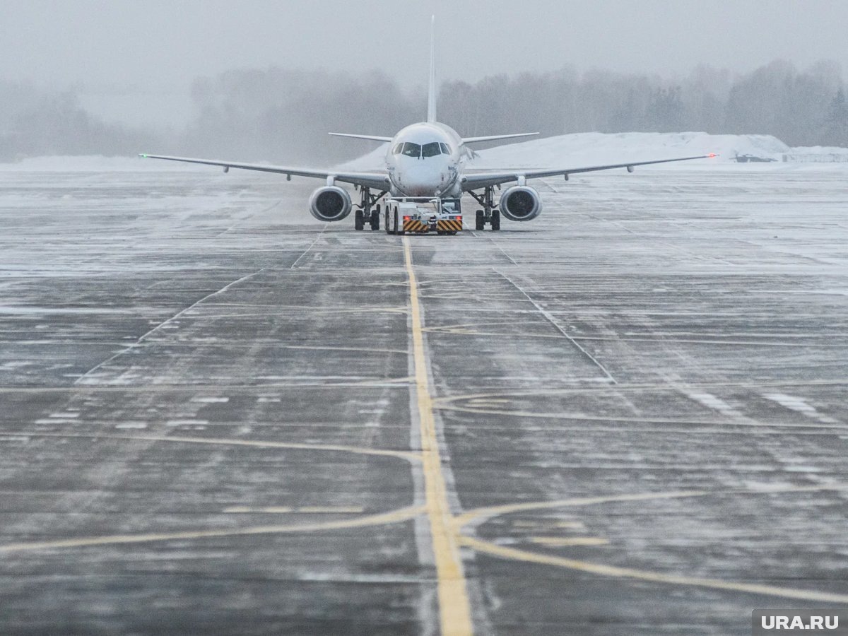     Снегопад сковал работу аэропорта Франции, из-за чего президент Рупынии не смог вылететь вовремя