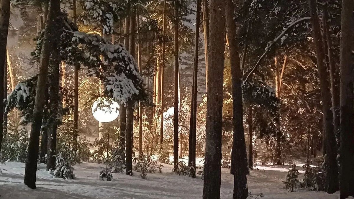    Как побывать в нижегородской Карелии?   newsnn.ru