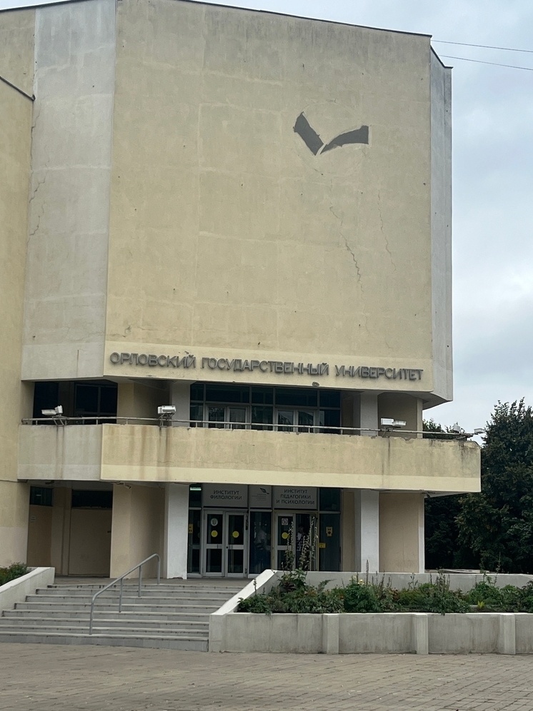     Фото: "МК в Орле"/Марианна Альянова