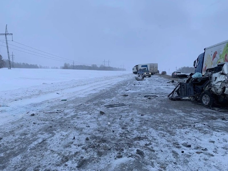    Фото: ГИБДД по Новосибирской области