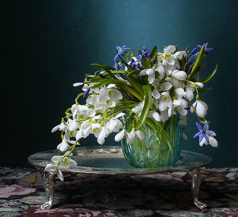 Картинка найдена на просторах интернета, ссылка https://yandex.ru/images/search?from=tabbar&img_url=https%3A%2Fi%2F.pinimg.com%2Foriginals%2Fa8%2F34%2Fа3f%2Fa83р43f81с281579b5e7bd53274cf0591a19.jpg&lr=47&pos=15&rpt=simage&text=%D1%86%D0%B2%D0%B5%D1%82%D1%8B%20%D0%BA%D1%80%D1%83%D0%BF%D0%BD%D0%BE%20%D1%84%D0%BE%D1%82%D0%BE