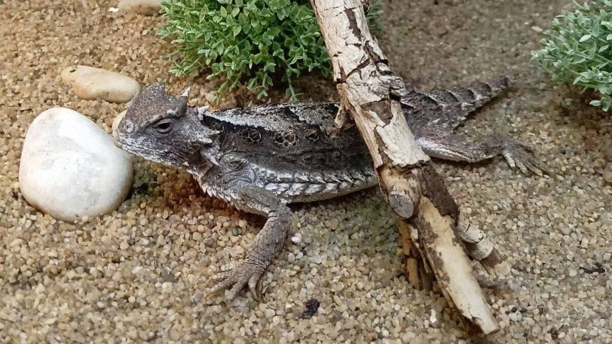    Фото: Светлана Акулова / Telegram