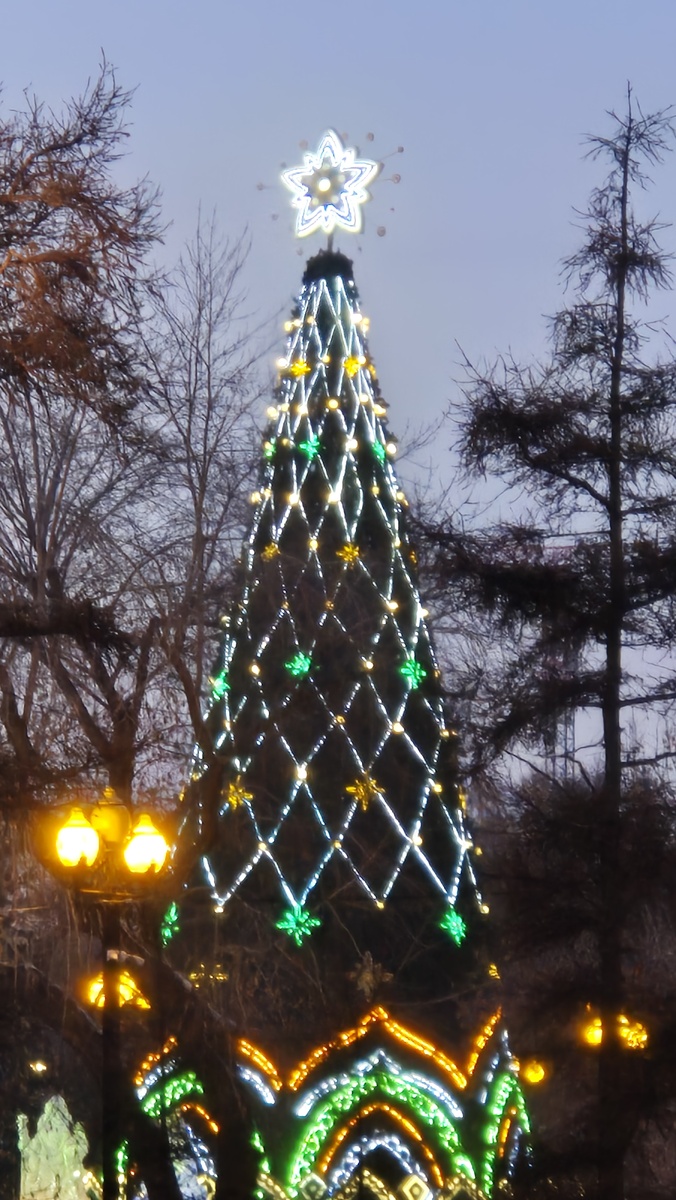 Главная ёлка города