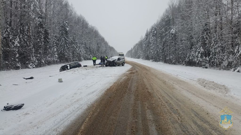    ФОТО: УМВД России по Костромской области