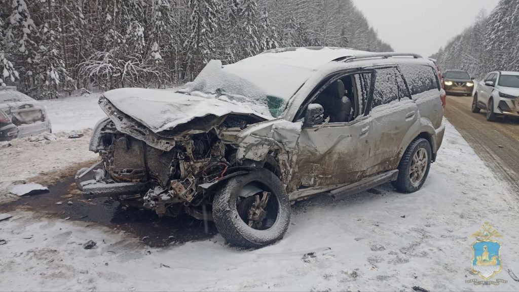    ФОТО: УМВД России по Костромской области