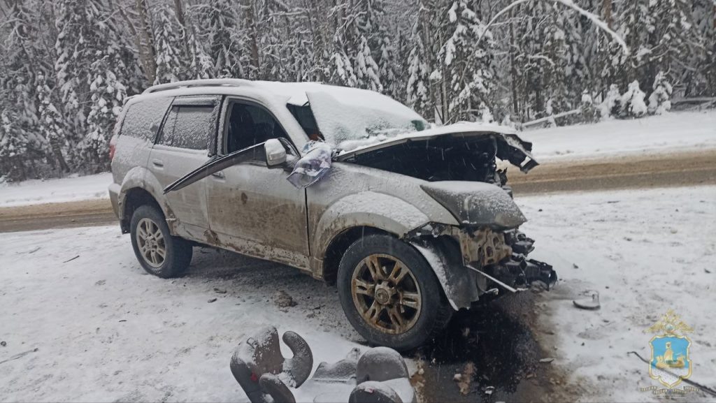    ФОТО: УМВД России по Костромской области