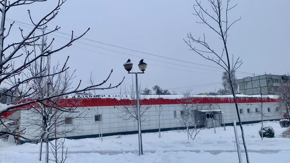 Необычный фонарь