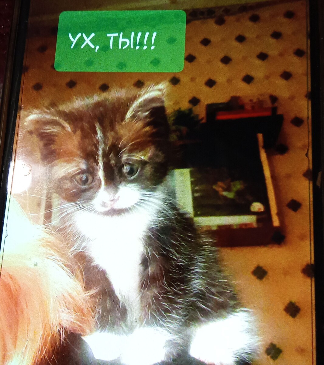 Фото автора