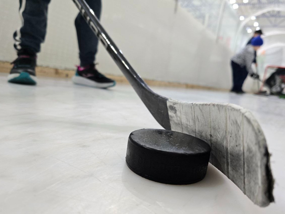    Фото: МедиаБанк Подмосковья/Яна Шаливская