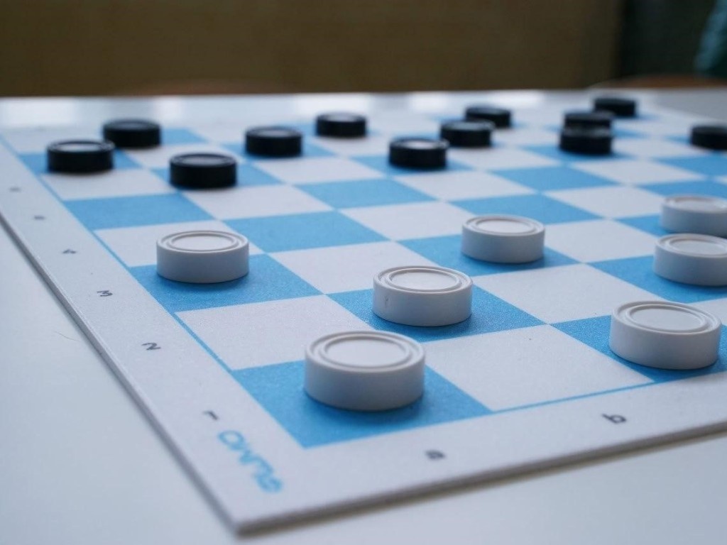    Фото: Федерация шашек Московской области