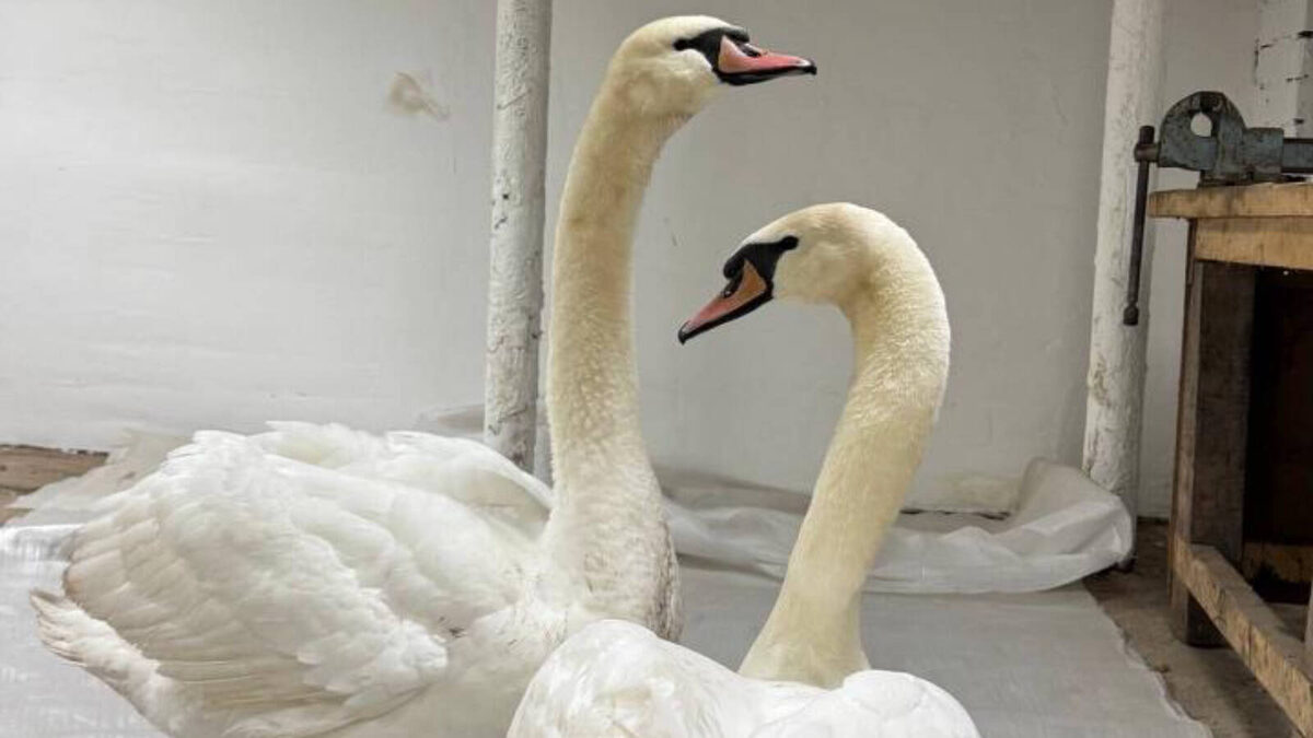 Фото: пресс-служба Министерства экологии и природных ресурсов РТ