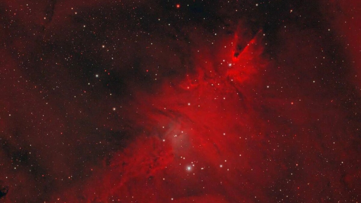    Фото: Николай Вдовин