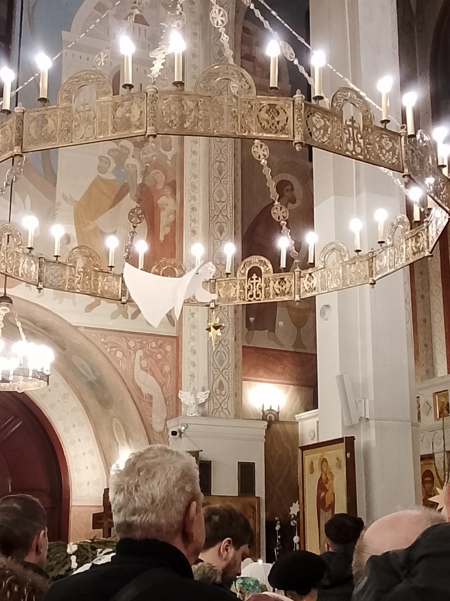 Сегодня ночью в храме. Смотрите, какие у нас там ангелы! А павлина видите? Павлин тоже символ Христа